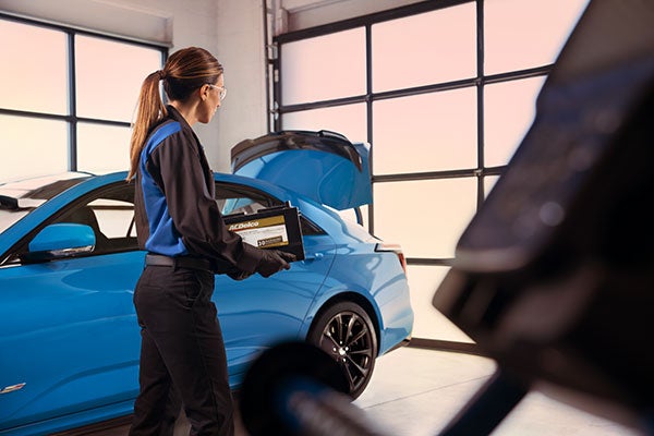 Battery Test & Replacement Service